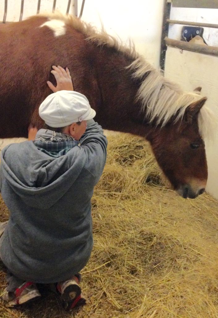 sarahs hestemassage behandling islaender