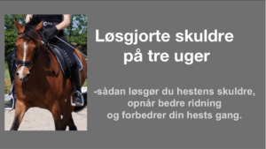 løsgjorte skuldre onlinekursus