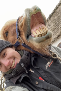 glad hest rygproblem islænder hestemassage