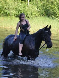 hest vand