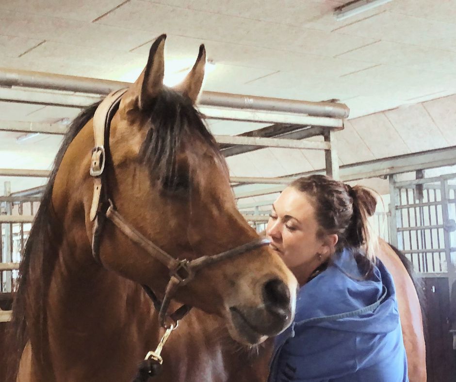 intuitiv hestemassage terapeut uddannelse hestemassør hestemassage