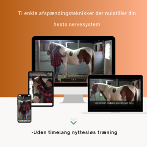 nervefast afspænding hest balanceret nervesystem