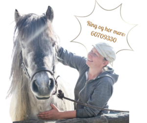 sarahs hestemassage telefonnummer hestemassør kontakt