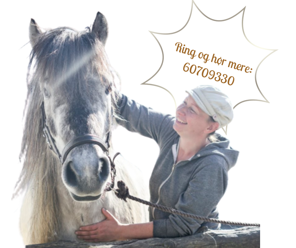 sarahs hestemassage telefonnummer hestemassør kontakt