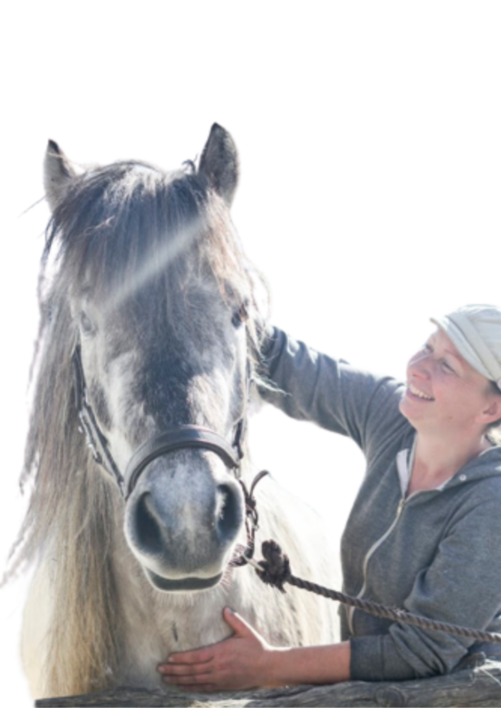 nervefast hest sarahs hestemassage