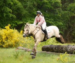 rideglaede harmmoni spring ridning fjordhest