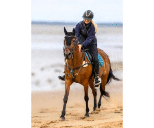 rideglaede online sund hest balance harmoni