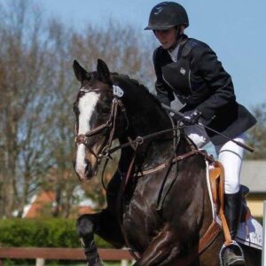 spring hest hestemassage forebygge skader hestemassoer sarahs hestemassage