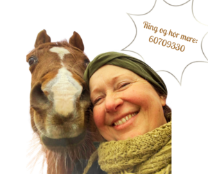 hestemassage uddannelse kontakt