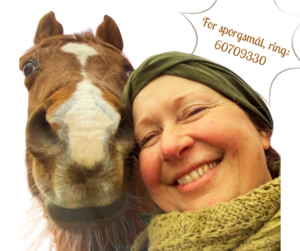 intuitiv hestemassage terapeut uddannelsen underviser